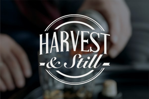 Logo Hervest & Still